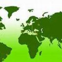 В мире животных